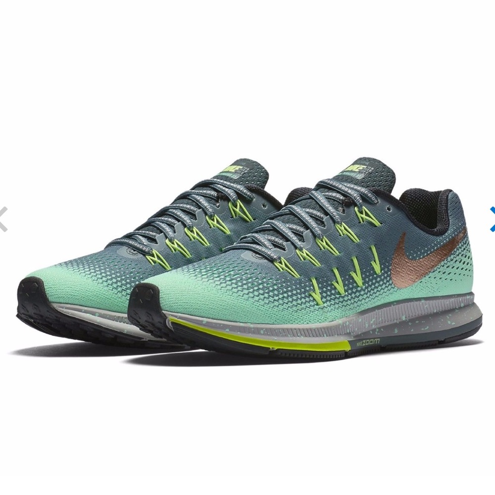 Pegasus 33 Nike